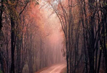 爱游戏下载-地球另一端的篮球圣地，抢票手速比决赛绝杀更刺激！