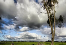 爱游戏在线-从低谷到巅峰！富力外援觉醒，铸就球队关键突破金钥匙