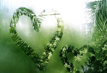 爱游戏-蓝鹰绝尘！拉齐奥三连胜轰开争冠大门，萨里战术革命点燃永恒之城