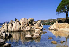 爱游戏在线-浪花为冕：泳池赛道上的桂冠生死局