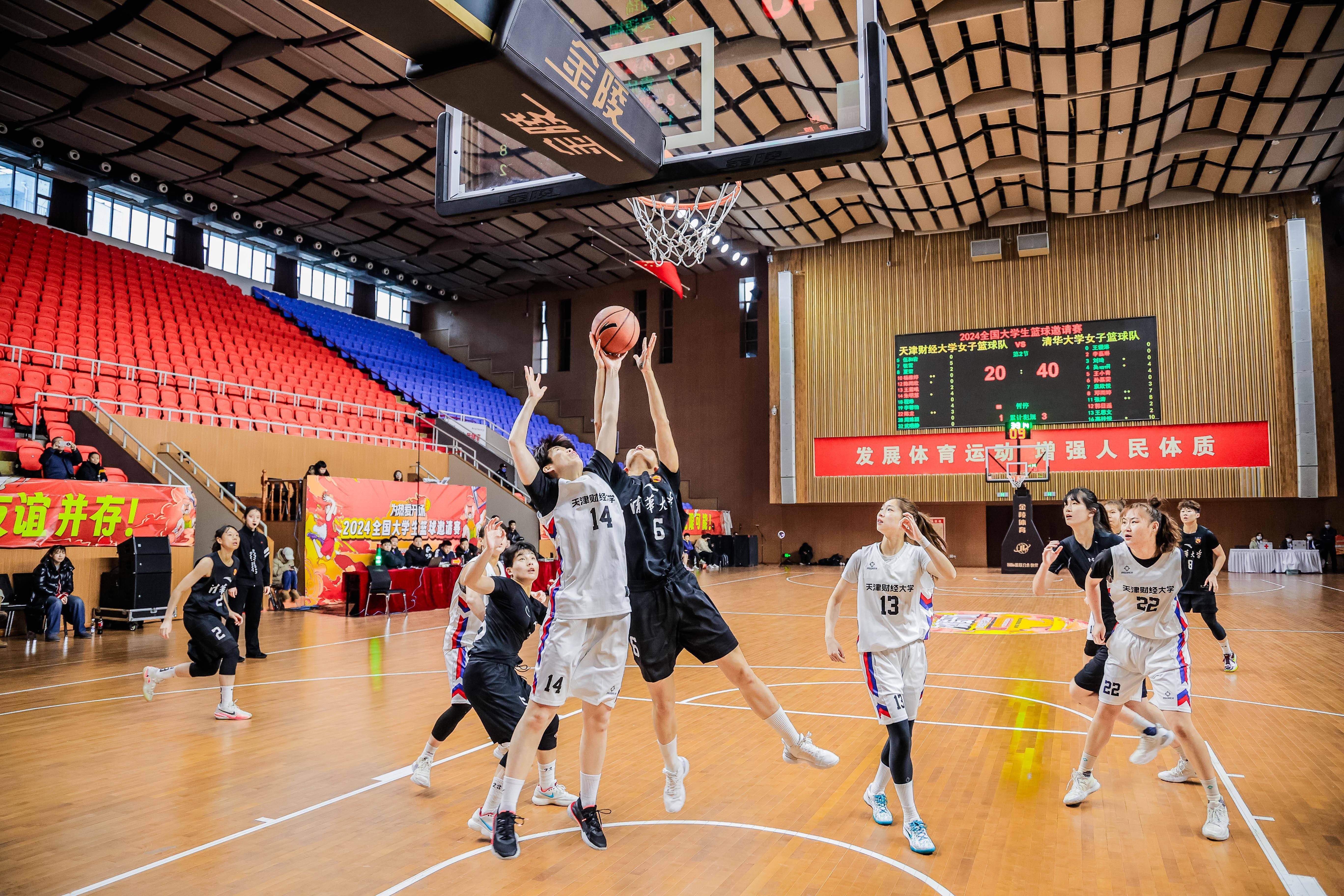 关于球队举办篮球赛事，吸引众多球迷观赏的信息