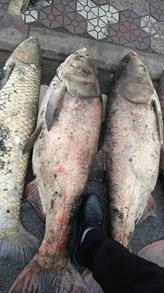 意甲球队转会动向曝光,多支豪门捞得大鱼的简单介绍 意甲球队转会动向曝光,多支豪门捞得大鱼的简单介绍