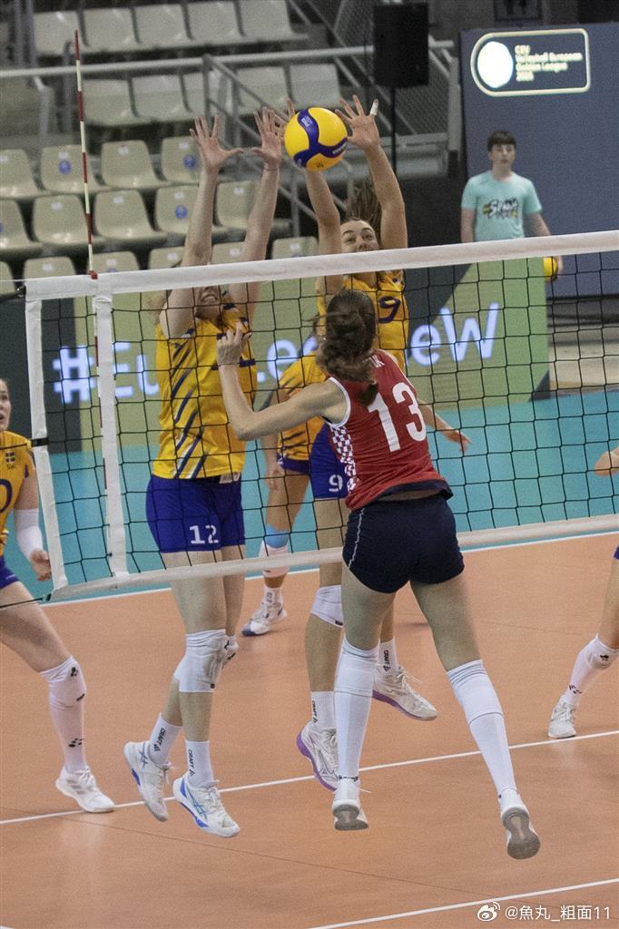 瑞典在对阵克罗地亚的比赛中获胜