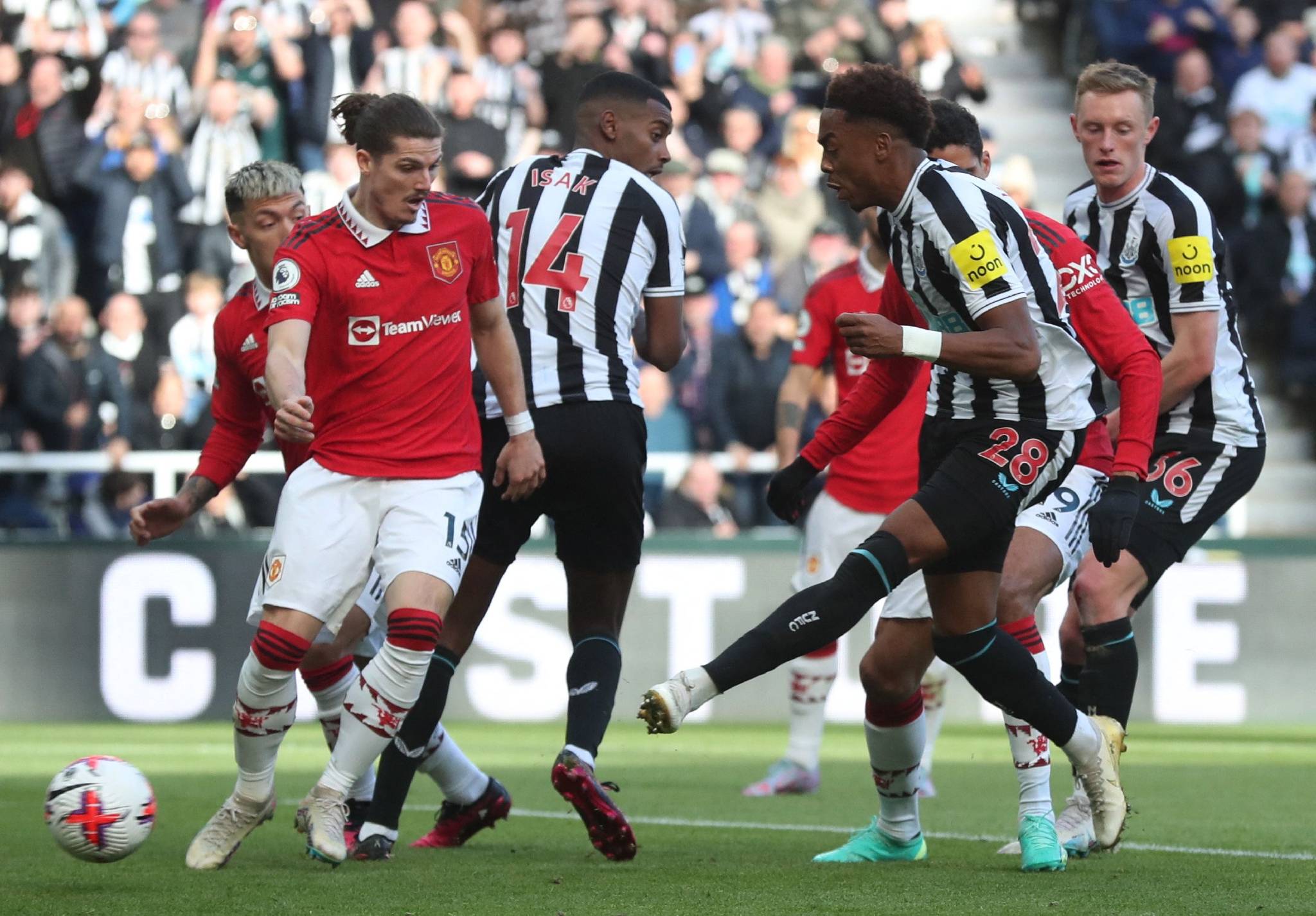 南安普顿主场力克纽卡斯尔,保持不败的简单介绍 南安普顿主场力克纽卡斯尔,保持不败的简单介绍