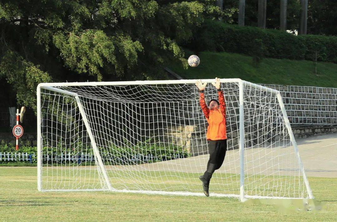 挑战极限！球场上的精彩瞬间引人入胜的简单介绍