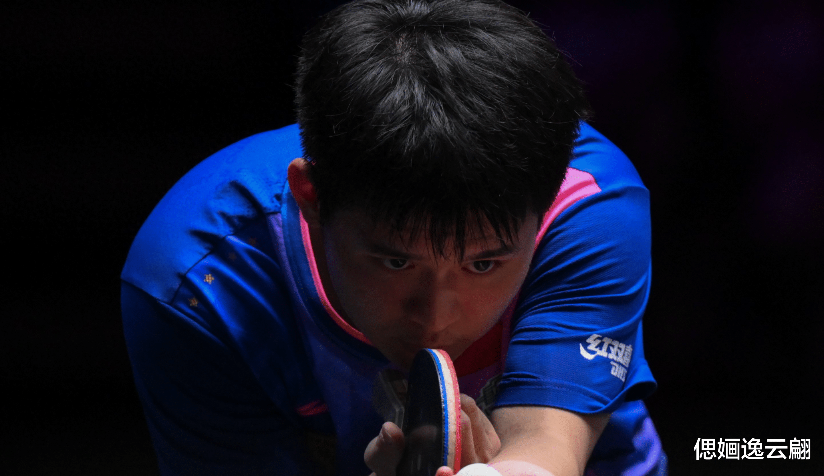 新加坡拳击选手实现历史性突破 新加坡拳击选手实现历史性突破