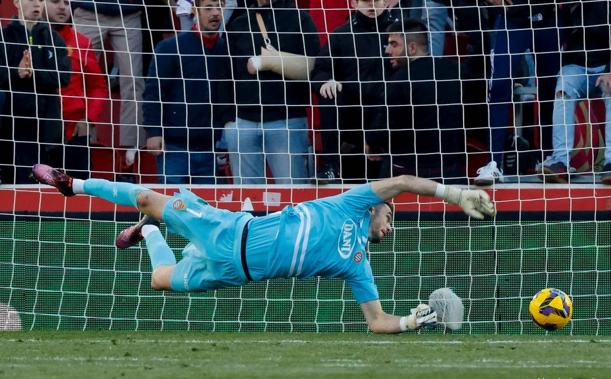 关于马洛卡惊险击败对手，保持上升势头的信息