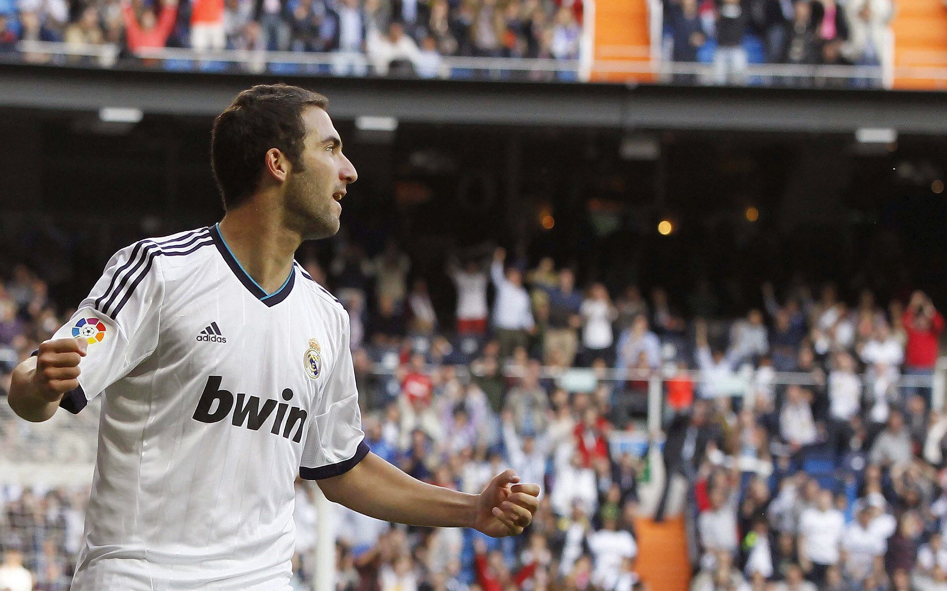 爱游戏大厅-穿透北非沙漠的最亮星光，佩德里如何单枪匹马瓦解阿尔及利亚的铜墙铁壁